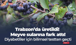 Trabzon’da üretildi! Meyve sularına fark attı! Diyabetliler için bilimsel testten geçti