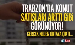Trabzon'da konut satışı arttı gibi görünüyor! Gerçek neden ortaya çıktı...