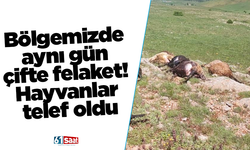 Bölgemizde aynı gün çifte felaket! Hayvanlar telef oldu