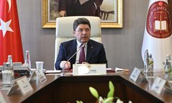 Ormana  benzin dökerek  yangın çıkartan  şahıs gözaltına alındı