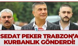 Sedat Peker’den Trabzon’a Kurbanlık!