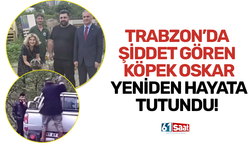 Trabzon’da şiddet gören köpek Oskar yeniden hayata tutundu!