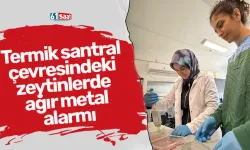 Termik santral çevresindeki zeytinlerde ağır metal alarmı