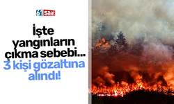 İşte yangınların çıkma sebebi... 3 kişi gözaltına alındı!