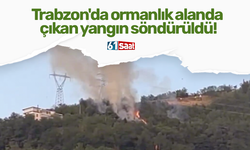 Trabzon'da ormanlık alanda çıkan yangın söndürüldü!