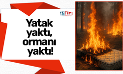 Yatak yaktı, ormanı yaktı!