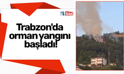 Trabzon'da orman yangını başladı!