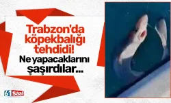 Trabzon'da köpekbalığı tehdidi! Ne yapacaklarını şaşırdılar...