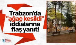Trabzon'da "ağaç kesildi" iddialarına flaş yanıt!