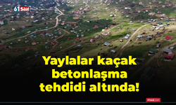 Doğu Karadeniz'deki yaylalar kaçak betonlaşma tehdidi altında!