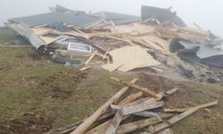 Doğu Karadeniz’deki yaylalar kaçak betonlaşma tehdidi altında