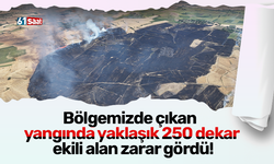 Bölgemizde çıkan  yangında yaklaşık 250 dekar  ekili alan zarar gördü!