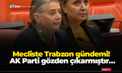 Mecliste Trabzon gündemi! AK Parti gözden çıkarmıştır…