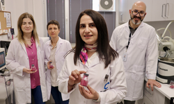 Akademisyenlerin meyve çayı konsantresi projesine TÜBİTAK'tan destek