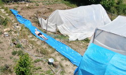 Sıcaklardan bunalan adam evinin bahçesine aquapark kurdu