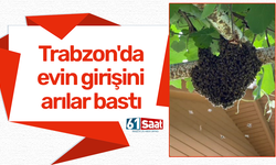 Trabzon'da evin girişini arılar bastı