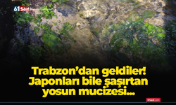 Trabzon’dan geldiler! Japonları bile şaşırtan yosun mucizesi...