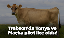 Trabzon'da Tonya ve Maçka pilot ilçe oldu!