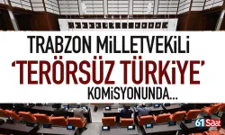 Trabzon Milletvekili 'Terörsüz Türkiye' komisyonunda...