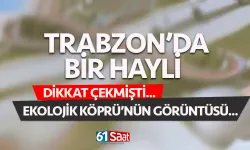 Bir hayli dikkat çekmişti! İşte ekolojik köprünün görüntüsü...