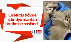 En Mutlu Köy’de istiridye mantarı üretimine başlandı
