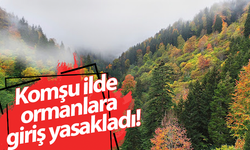 Komşu ilde ormanlara giriş yasakladı!