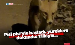 Pisi pisi’yle başladı, yüreklere dokundu: Tilkiyle...
