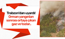 Trabzon’dan uyardı! Orman yangınları sonrası ortaya çıkan gaz ve tozlar..