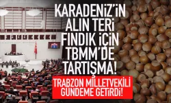 Karadeniz'in alın teri fındık için mecliste tartışma! Trabzon milletvekili gündeme getirdi...