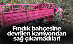 Fındık bahçesine devrilen kamyondan sağ çıkamadılar!