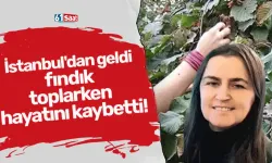 İstanbul'dan geldi fındık toplarken hayatını kaybetti!