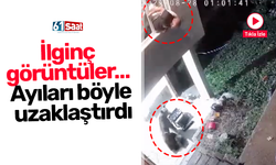 İlginç görüntüler… Ayıları böyle uzaklaştırdı
