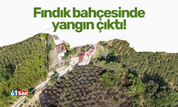 Fındık bahçesinde yangın çıktı!