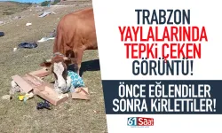 Trabzon'da önce eğlendiler, sonra kirlettiler... Çöplerin arasında...