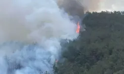 Karabük'te orman yangını! 3 helikopter ve 161 personel müdahale ediyor