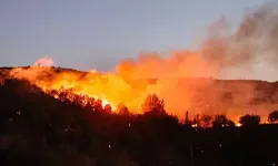 Adıyaman’da orman yangını: 150 dönüm alan zarar gördü