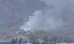 Muğla Fethiye’de orman yangını