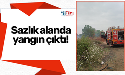 Sazlık alanda yangın çıktı!