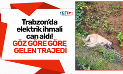 Trabzon’da elektrik ihmali can aldı! Göz göre göre gelen trajedi