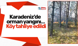 Karadeniz’de orman yangını… Köy tahliye edildi