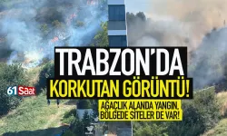 Trabzon'da vadide yangın... Bölgede siteler de var!