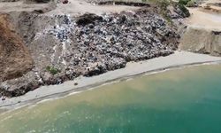 Giresun'da Karadeniz'in kıyısındaki çöplük, ekosistemi tehdit ediyor!