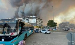 Çanakkale'de orman yangını: Boğaz trafiğe tek yönlü kapatıldı