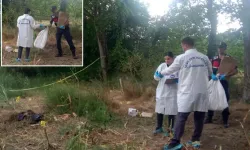 Kan donduran görüntü! Tarlada çalışa çiftçi farketti