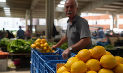 Bayburt'ta artan limon fiyatları limonlu çayın tadını kaçırdı: "Limonlu çay keyfimize limon sıkıldı"