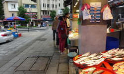 Balıkçıların gözü bu sezon hamside!
