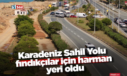 Karadeniz Sahil Yolu fındıkçılar için harman yeri oldu