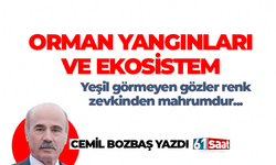Cemil Bozbaş yazdı! Orman yangınları ve ekosistem