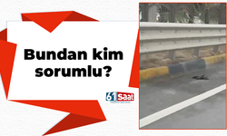 Bundan kim sorumlu?