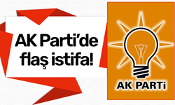 AK Parti'de istifa!
